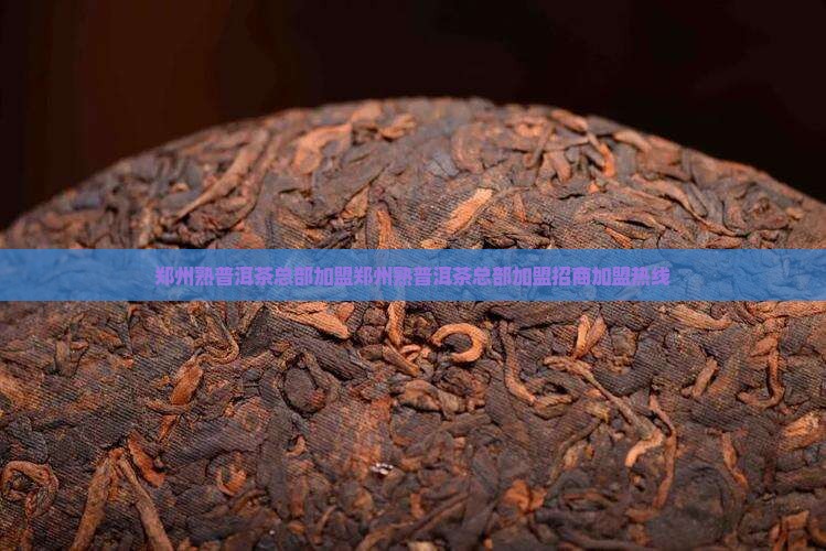 郑州熟普洱茶总部加盟