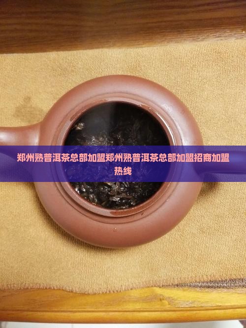 郑州熟普洱茶总部加盟