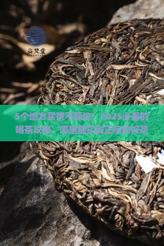 哪里可以买到比较正宗的茶叶