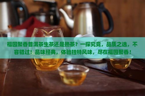 福园聚香普洱茶生茶还是熟茶