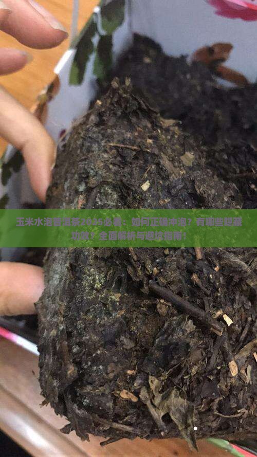 玉米水泡普洱茶
