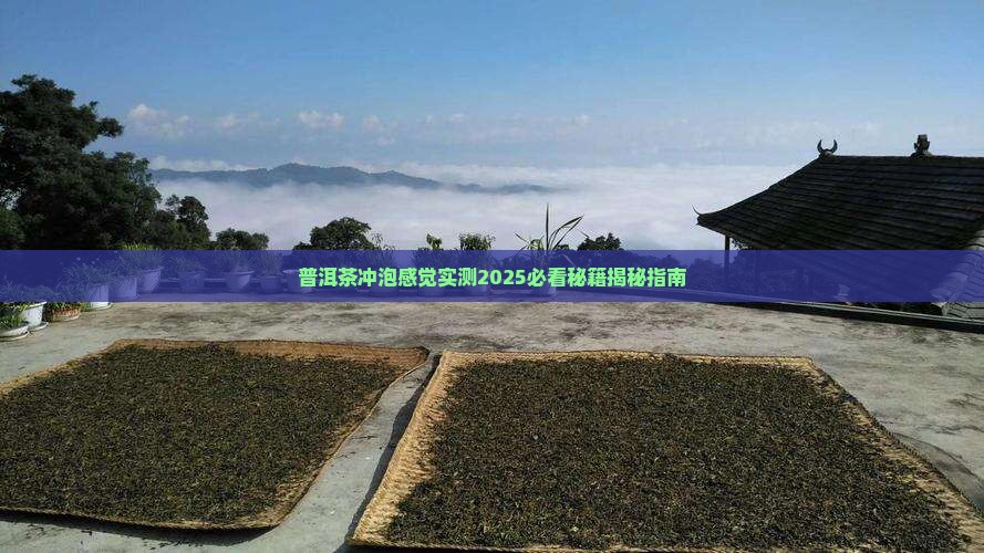 普洱茶冲泡感觉