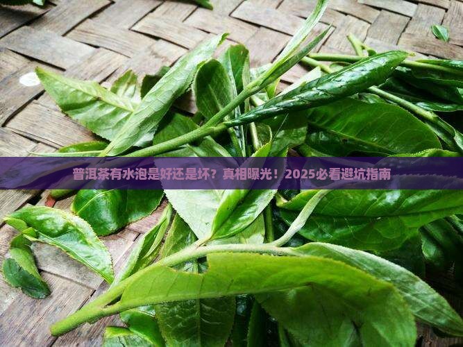 普洱茶有水泡是好茶吗还是坏茶