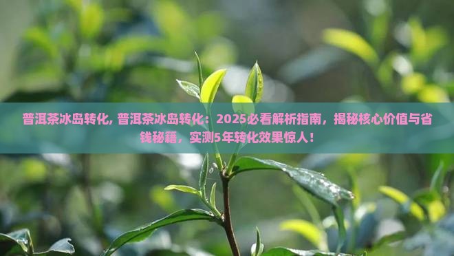 普洱茶冰岛转化