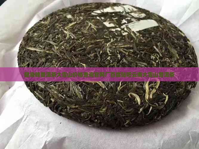 健身牌普洱茶大雪山