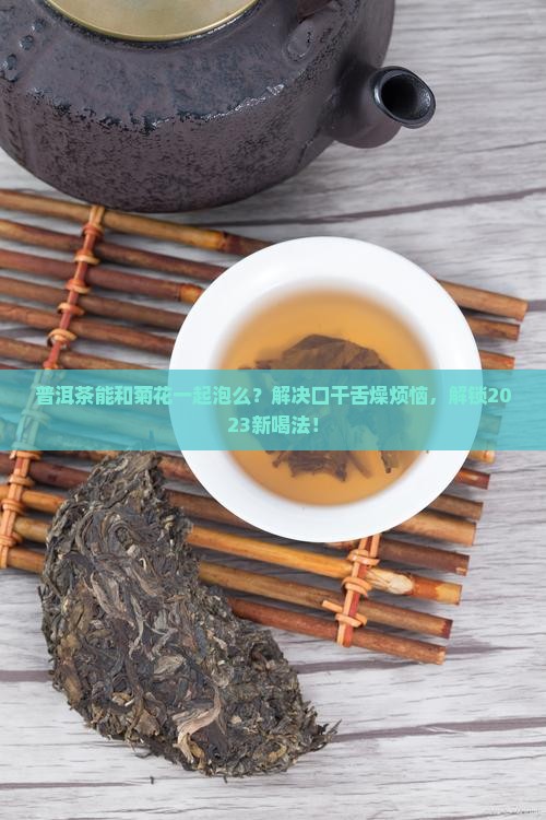 普洱茶能和菊花一起泡么