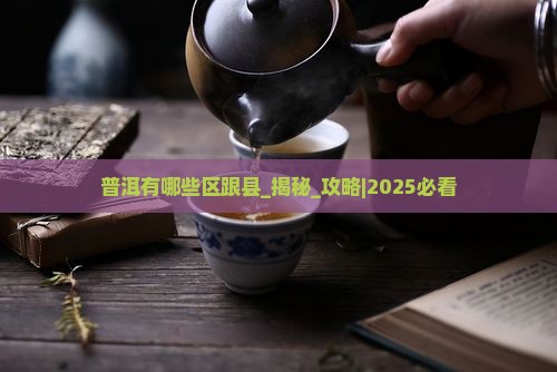 普洱有哪些区跟县