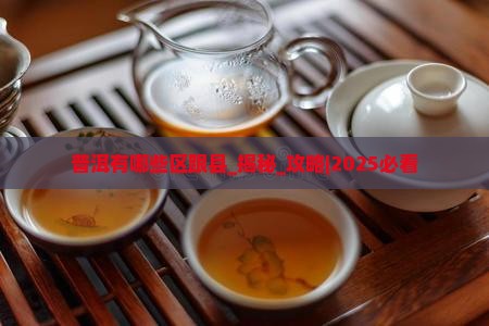 普洱有哪些区跟县