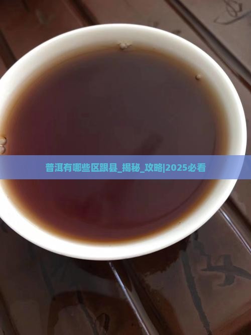 普洱有哪些区跟县