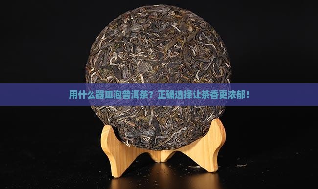 用什么器皿泡普洱茶
