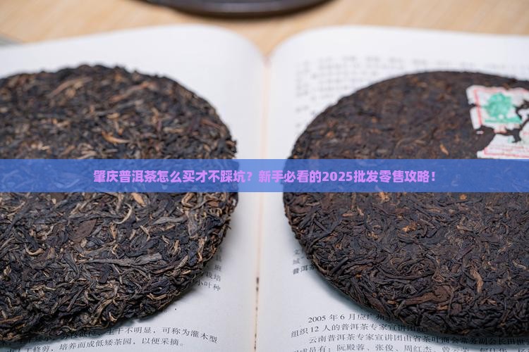 肇庆普洱茶批发零售