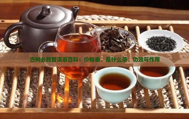 古树必胜普洱茶