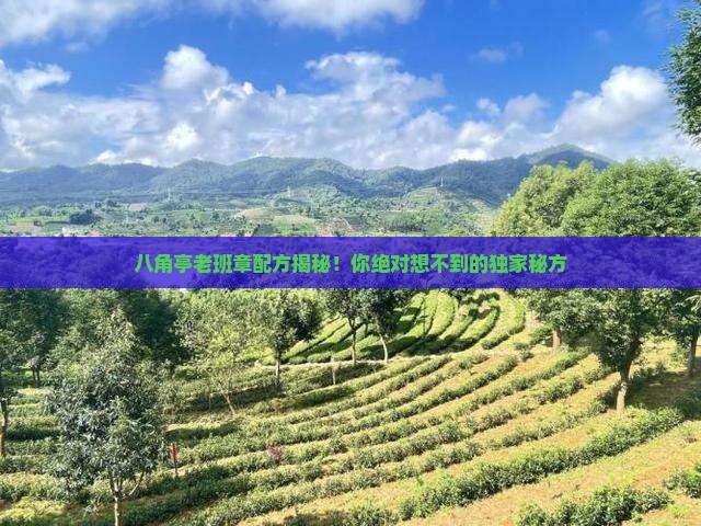 八角亭老班章配方