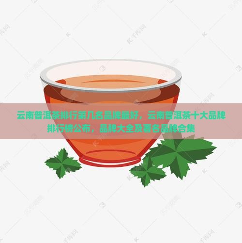云南普洱茶排行第几名品牌
