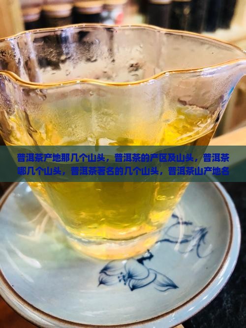 普洱茶产地那几个山头