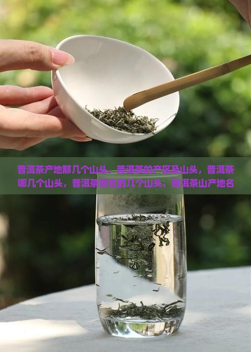 普洱茶产地那几个山头