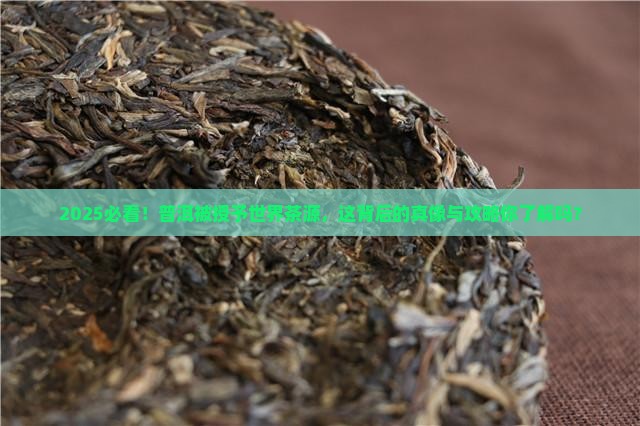 普洱被授予世界茶源