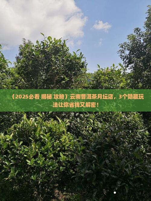 七彩云南普洱茶月坛店