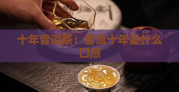 10年普洱茶是什么口感