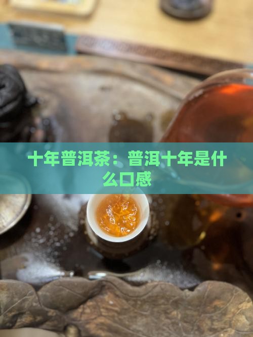 10年普洱茶是什么口感