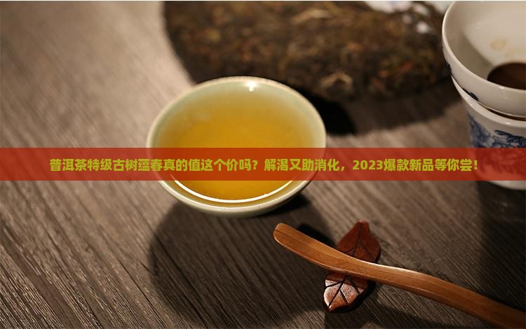 普洱茶特级古树蕴春