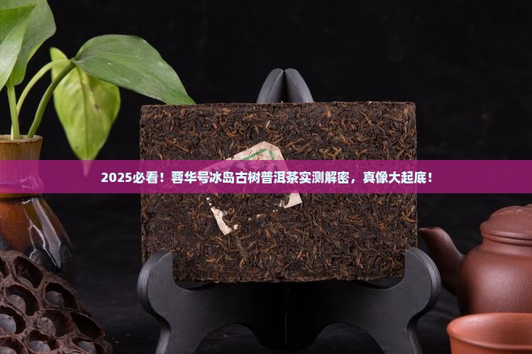 蓉华号冰岛古树普洱茶