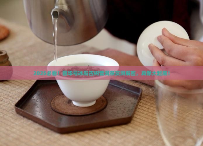 蓉华号冰岛古树普洱茶