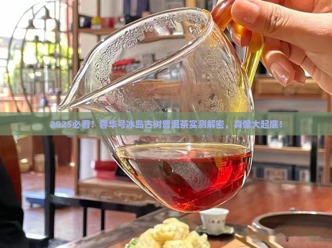蓉华号冰岛古树普洱茶