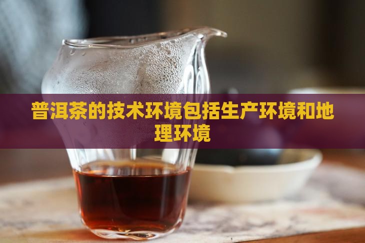 普洱茶的技术环境