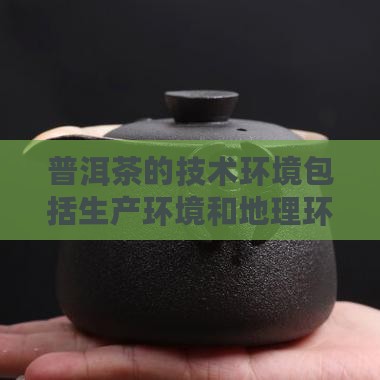 普洱茶的技术环境
