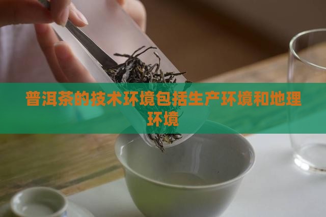 普洱茶的技术环境