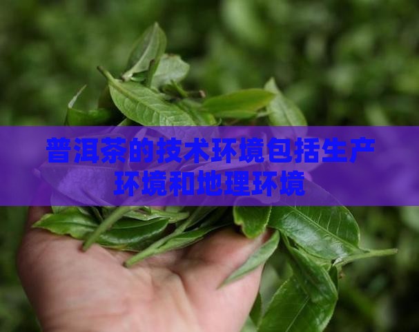 普洱茶的技术环境