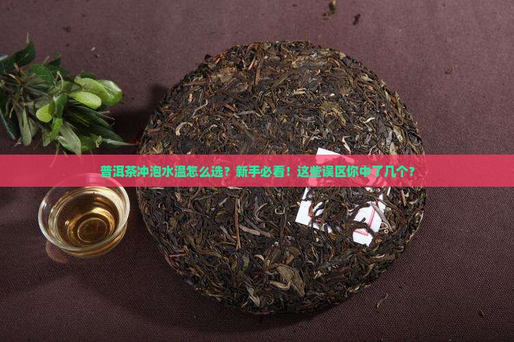 普洱茶冲泡的水温表