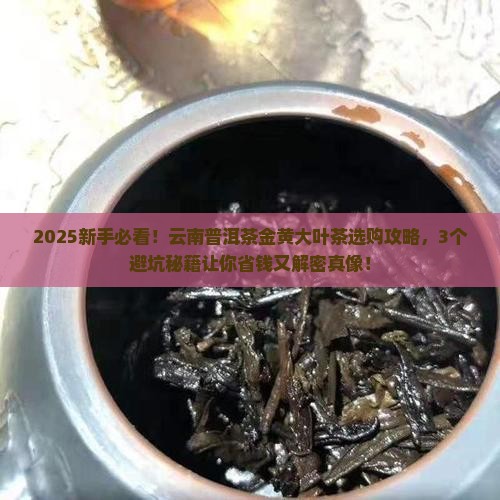 云南普洱茶金黄大叶茶