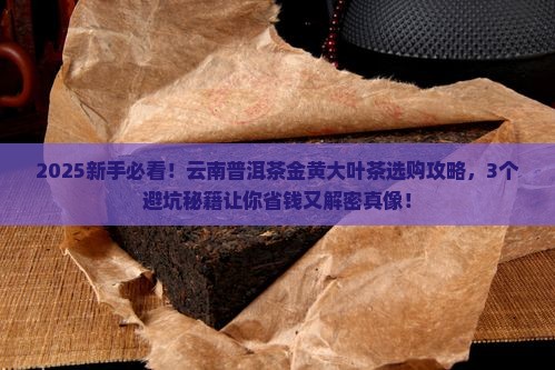 云南普洱茶金黄大叶茶