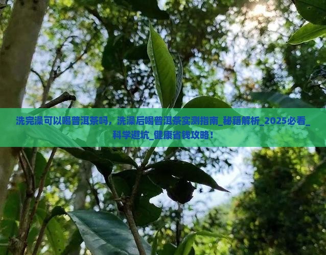 洗完澡可以喝普洱茶吗