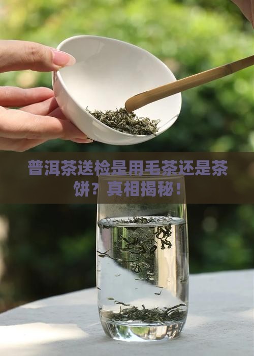 普洱茶送检是用毛茶还是茶饼