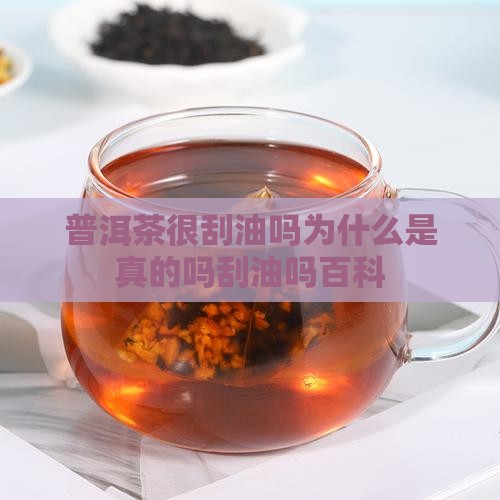 普洱茶很刮油吗