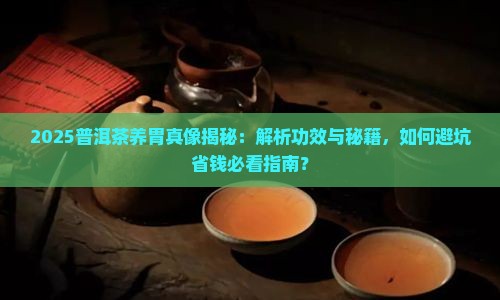 普洱茶有什么养胃作用和功效