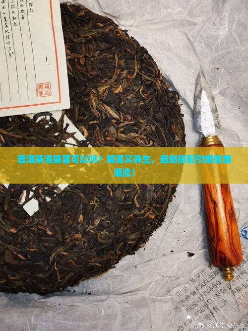 普洱茶泡桑葚可以吗