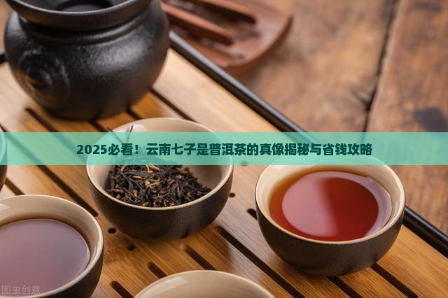 云南七子是普洱茶吗