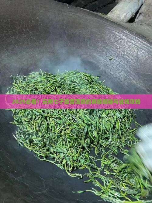 云南七子是普洱茶吗