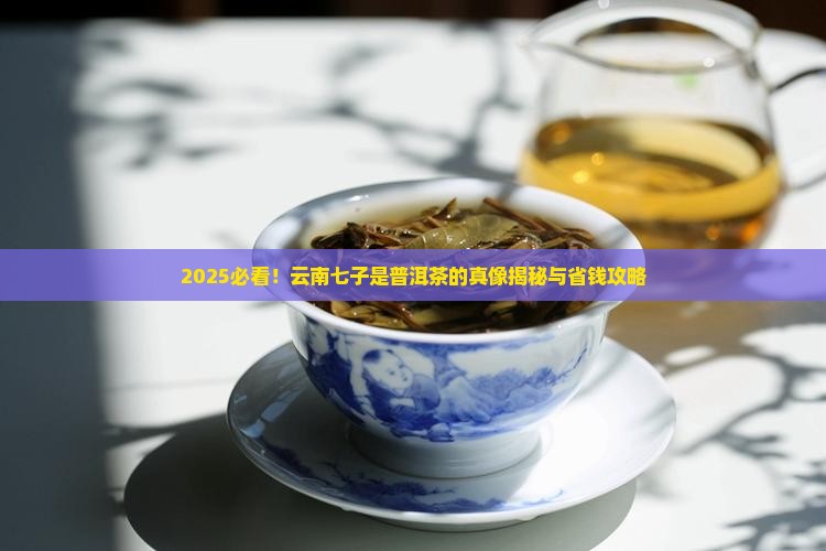 云南七子是普洱茶吗