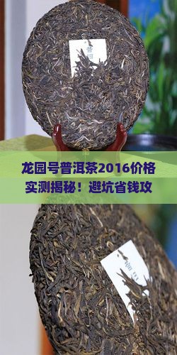 龙园号普洱茶2016价格