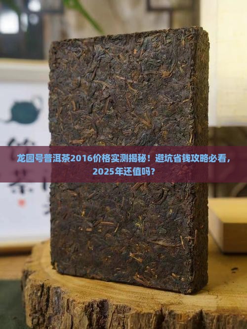 龙园号普洱茶2016价格