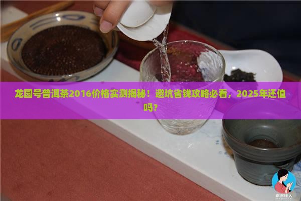 龙园号普洱茶2016价格