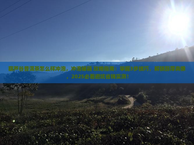 葫芦谷普洱茶怎么样冲泡