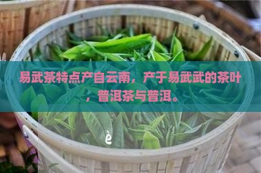 易武茶特点产自
