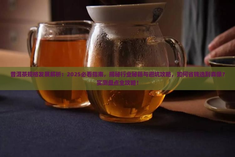 普洱茶规格的发展