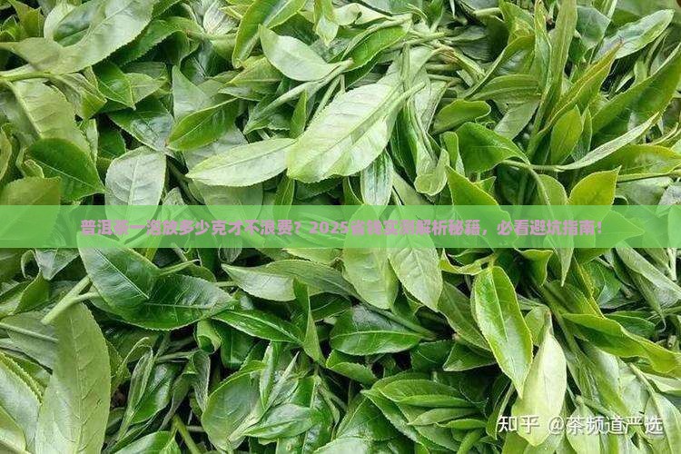 普洱茶放几克一泡
